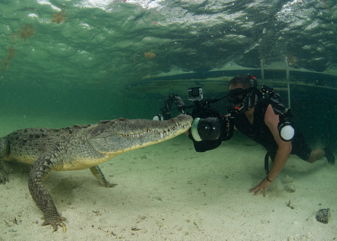 Javier Mendoza conducting underwater field work off the Southern California coast